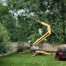 Best Commercial Tree Services  in Indianola, WA